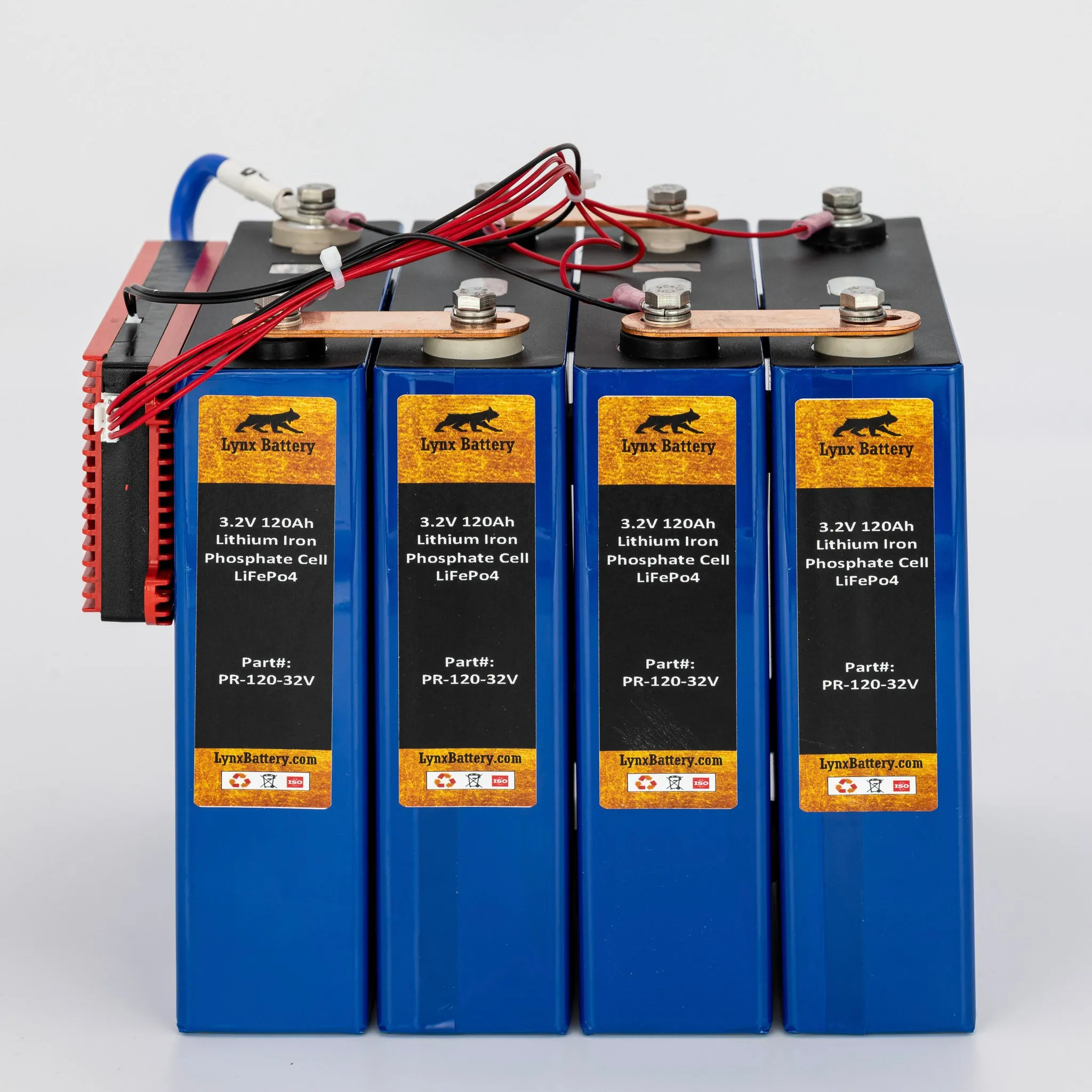 12V 120Ah Lithium Iron Phosphate (LiFePO4) Prismatic Battery with 100A BMS