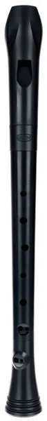 Nuvo Recorder Black with Transvinyl Case