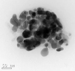 Silver Nanoparticles B50 (50nm)