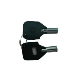 VIVOTEK 660005900G Extra Keys to VIVOTEK NVR Hard Lock, 2-Piece